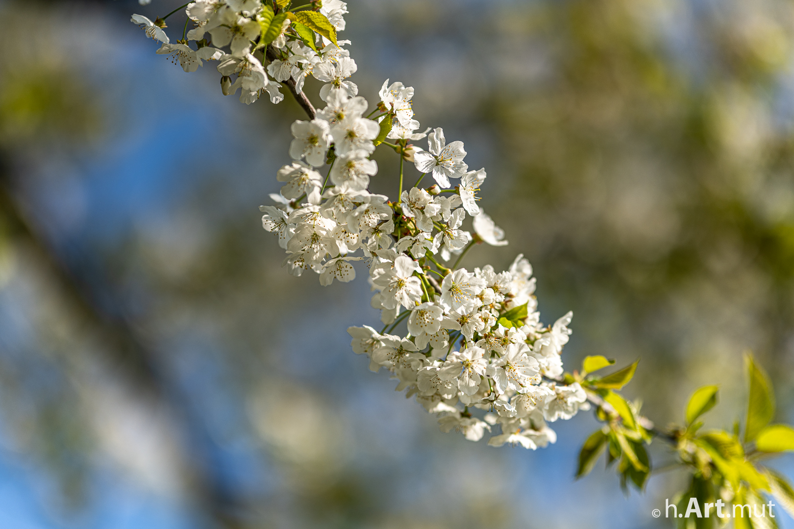 27. April 2022 - 08 - 34 - 21 - Die lebendige Verfassung