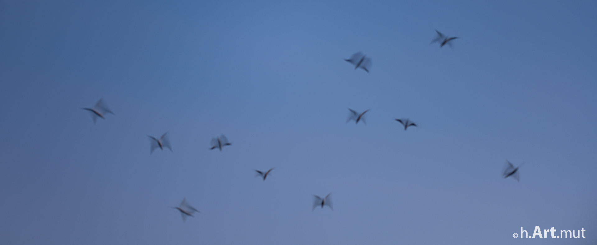 31. Juli 2020 - 21 - 48 - 10 - Die lebendige Verfassung